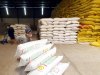 Phải đảm bảo cung ứng gạo cho người dân trong nước