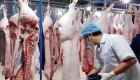 Kiểm soát chặt chẽ hoạt động nhập khẩu lợn sống vào Việt Nam
