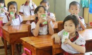 Hà Nội: Học sinh mẫu giáo, tiểu học được uống sữa tươi 5 lần/tuần