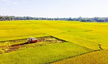Thêm điều kiện chuyển mục đích sử dụng đất trồng lúa từ 20/5/2023