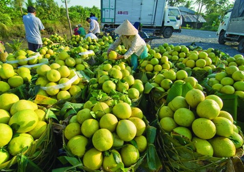 mức cho vay hộ nông dân